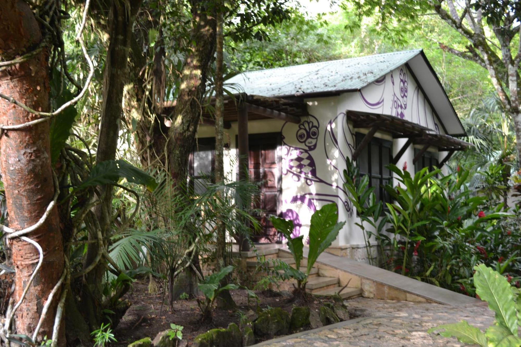 蒂卡尔丛林小屋酒店 客房 照片